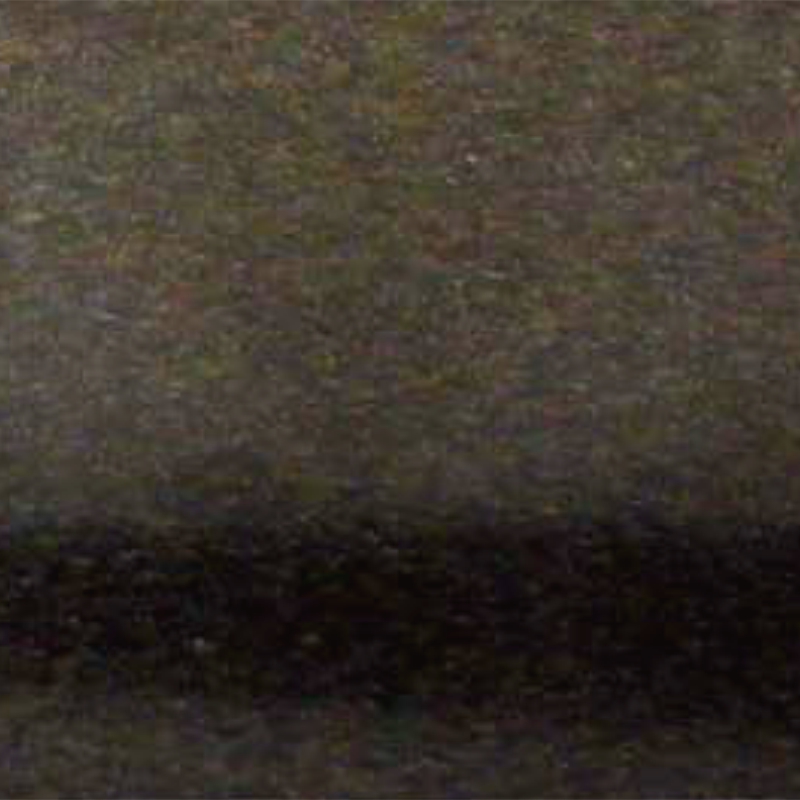 P10001